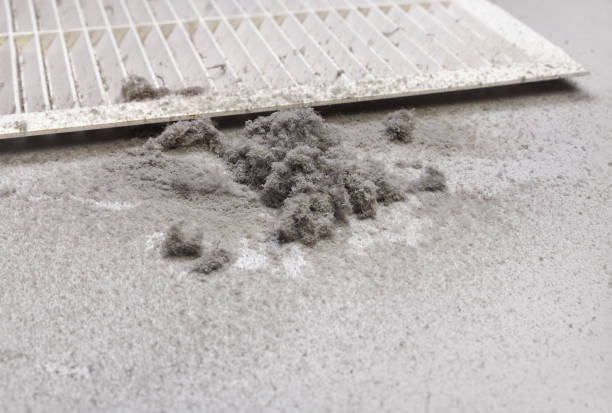 Best Air Vent Cleaning Services  in Hoffman Estates, IL