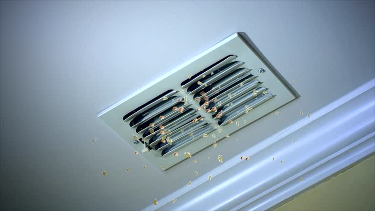 Best Best Air Duct Cleaning Company  in Hoffman Estates, IL